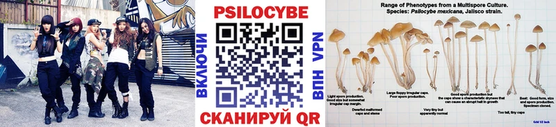 Купить  Псков  Псилоцибиновые грибы Psilocybe 